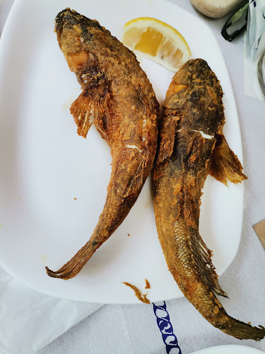 Тузлата, 9600 Тузлата