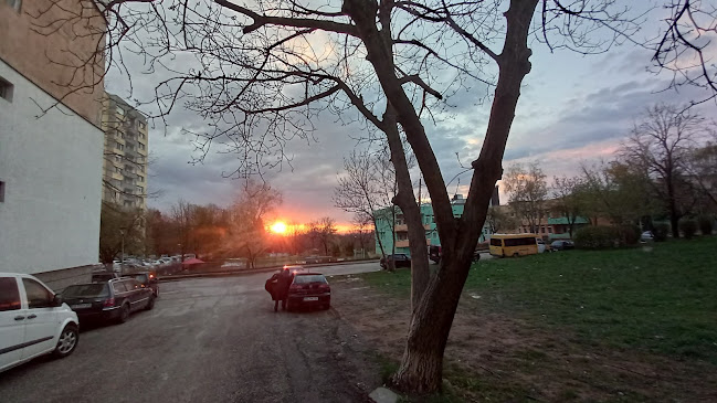 Бирария Сиси - Габрово