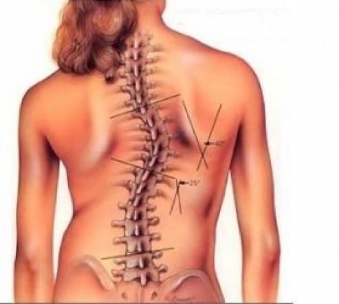 Body care - Гастрономия и хотелиерство