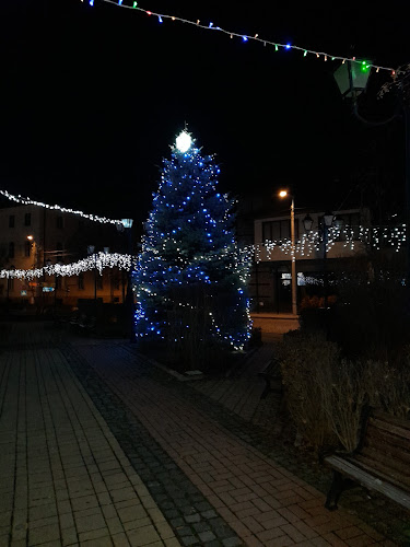 Републикански път II-63 4, 2460 Трън