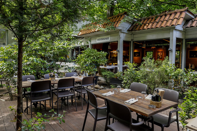 Медитеранео