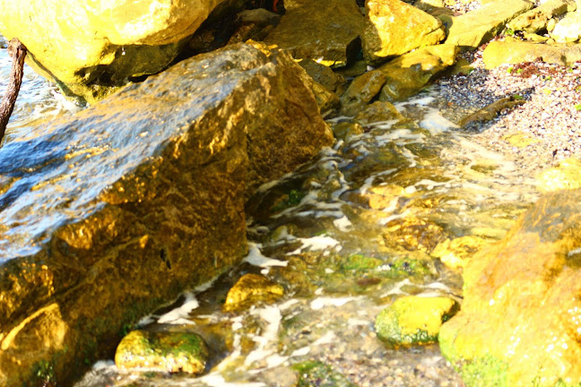 Comentarii opinii despre Ресторант "Романтика"