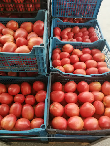 Opinii despre Зеленчукова Борса Огняново în Огняново - Гастрономия и хотелиерство