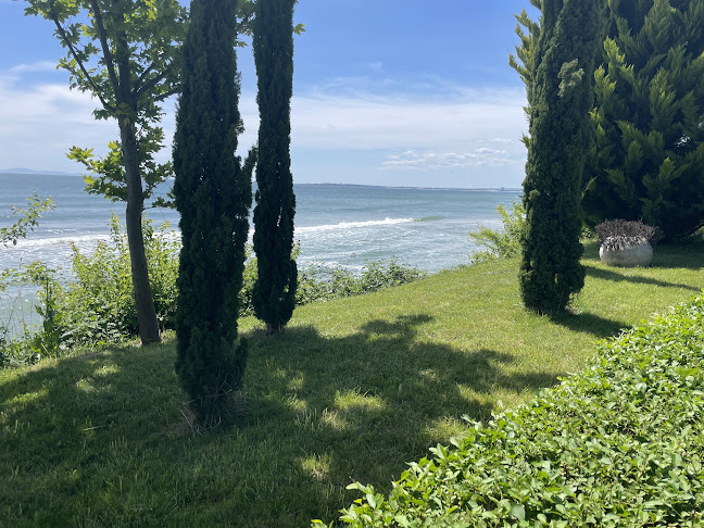 Unnamed Road, 8256 Елените