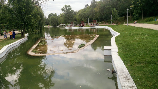 Comentarii opinii despre Комплекс „Лебед“