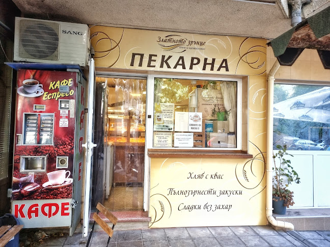 Златното зрънце - Варна