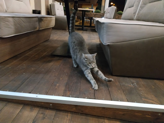 бул. Иван Вазов 38, 4330 Сопот