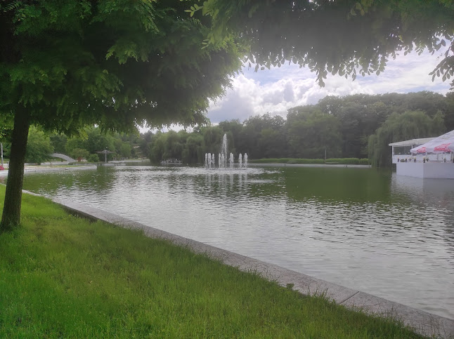 Comentarii opinii despre Комплекс „Лебед“