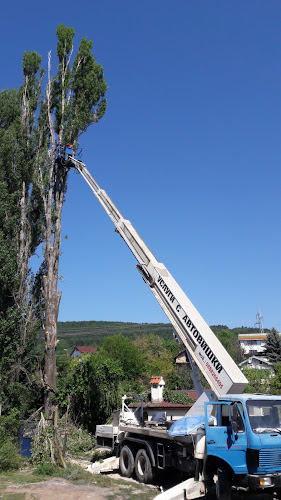 Каменски и Синове ООД - Гастрономия и хотелиерство