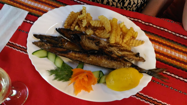 Старият елен - Царево