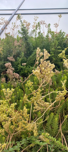 Общински Пазар “Васил Шаханов” - Гастрономия и хотелиерство