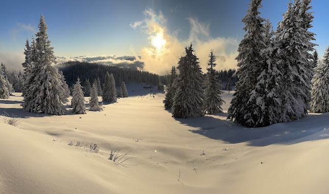 Березка - Гастрономия и хотелиерство