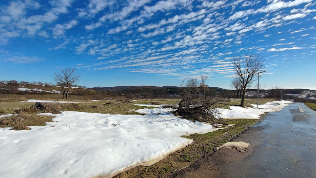 Restaurant Bar Harmony Suites Monte Carlo