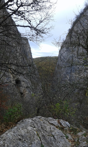 Comentarii opinii despre Бо Кафе