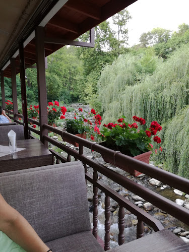 Comentarii opinii despre Ресторант Вила Рай ОГНЯНОВО