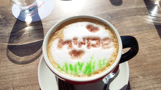 БЕЛУЧИ - Русе