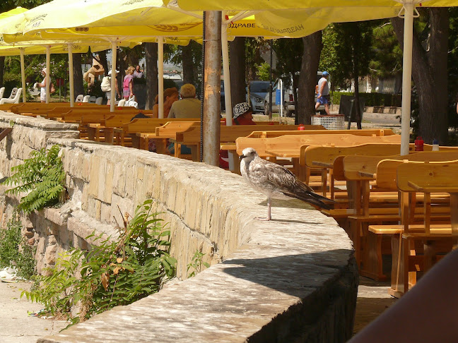 Морски Дар - Поморие