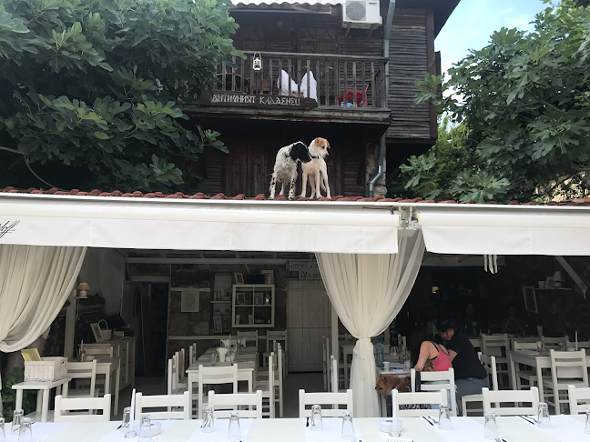 Център, ул. „Кирил и Методий“ 35, 8130 Созопол