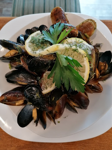 Благородните кучета - София