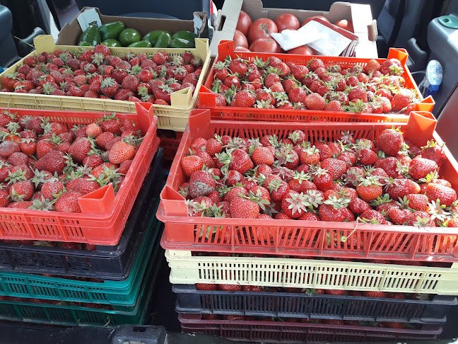 Opinii despre Зеленчукова борса în Варна - Гастрономия и хотелиерство