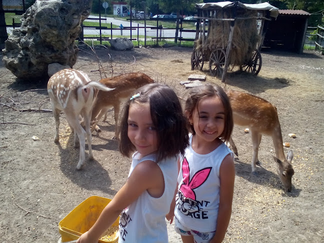 Opinii despre Снек Бар Панорама în Долна Митрополия - Гастрономия и хотелиерство