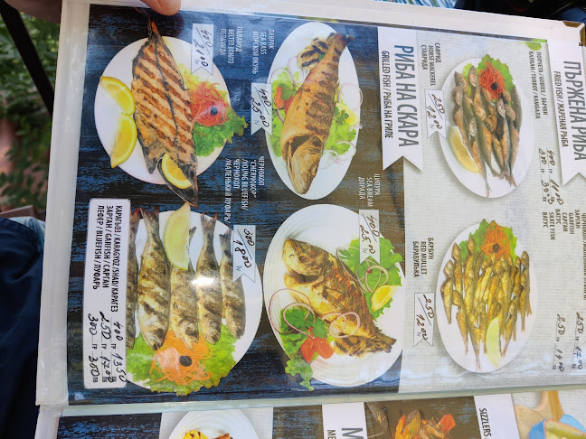 Opinii despre Капитан Немо în Несебър - Гастрономия и хотелиерство