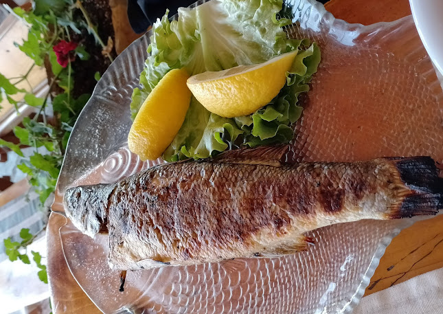 Comentarii opinii despre Кръчмата