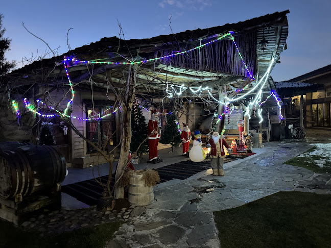 Comentarii opinii despre Калената пивница