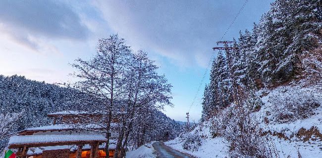 unnamed road, 2780 Белица