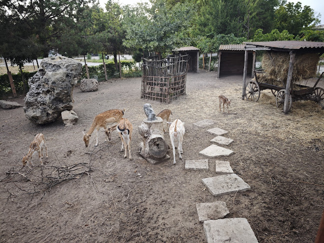 Снек Бар Панорама - Долна Митрополия