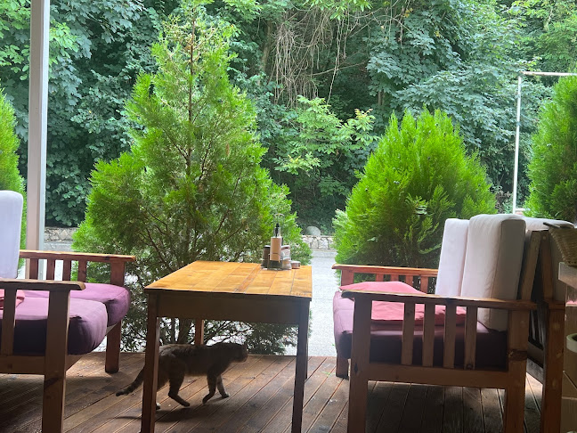 Bar & Dinner Yummy - Дупница