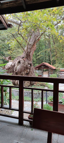 Механа хайдутите - Гастрономия и хотелиерство