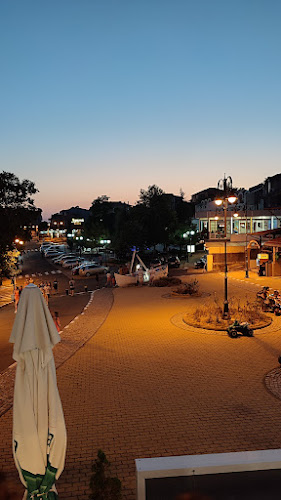 8256 Свети Влас