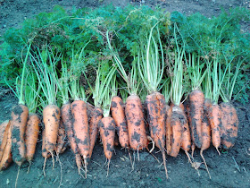 ВЕНЕТА ДОБРЕВА