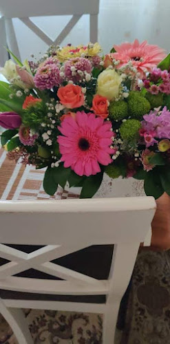 Южна промишлена зона, ул. „Дълга лъка“ 1, 5000 Велико Търново