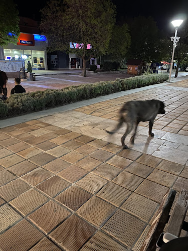 Царевица При Боби