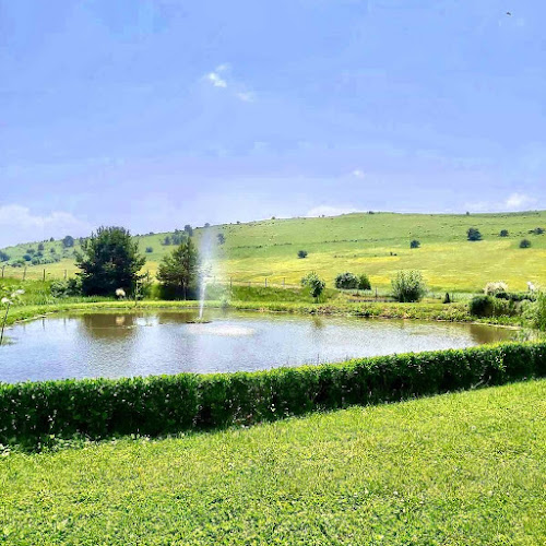 Ресторант-градина "Орлов Камък"-Копривщица - Копривщица