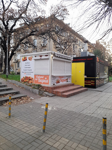 Ядките на Варна - Варна