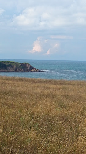 Пицария "Куцата Медуза" - Гастрономия и хотелиерство