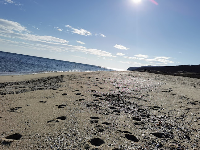 9112 Долни чифлик