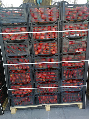 Зеленчукова Борса Огняново - Огняново