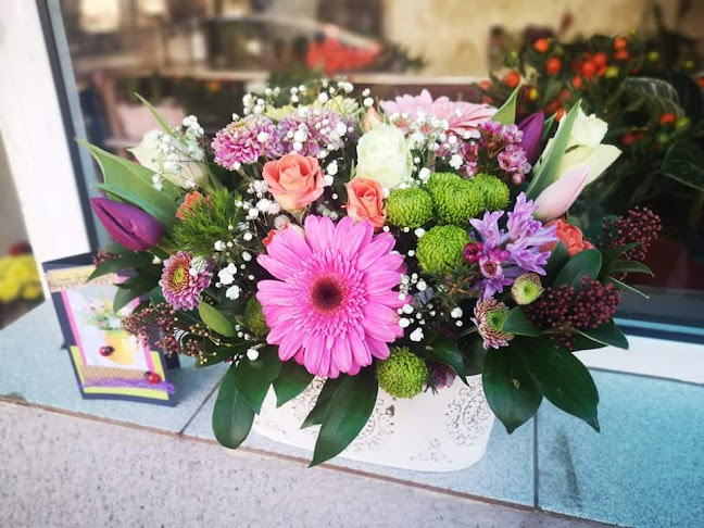 Opinii despre АВТО ГРИЛ (заведение за бързо хранене) în Велико Търново - Гастрономия и хотелиерство