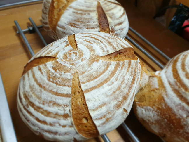 София център, 1000 София