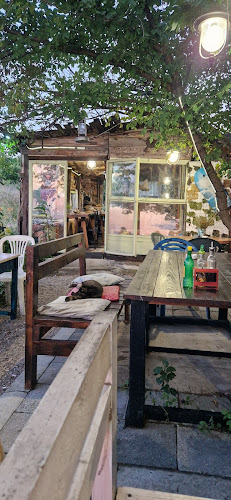 8142 Черноморец