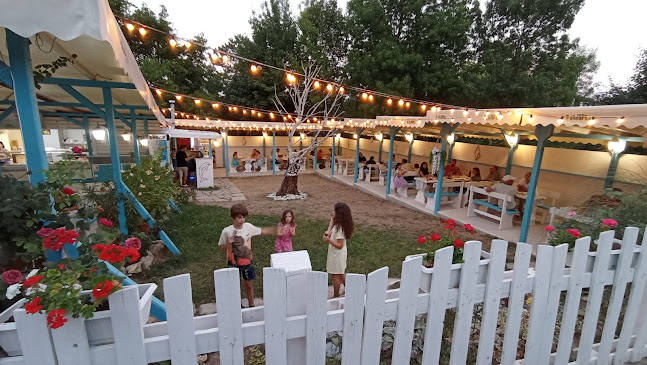 Comentarii opinii despre Котвата