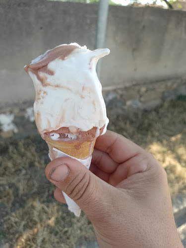 Едновремешен сладолед - Песнопой