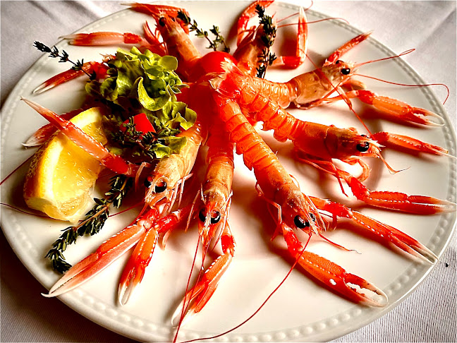 ж.к. Изток, ул. „Николай Хайтов“ 12, 1113 София