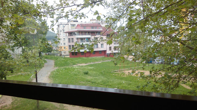 ИРИС-ГЮЛШЕН КАЛЕДЖИ - Кърджали