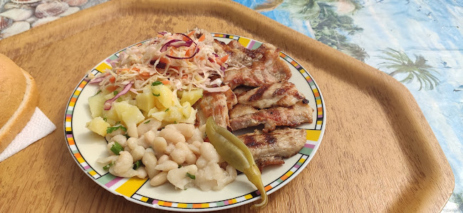 Северна промишлена зонаСеверен, ул. „Васил Левски“ 236, 4003 Пловдив