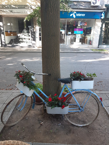 Comentarii opinii despre ALBA coffee